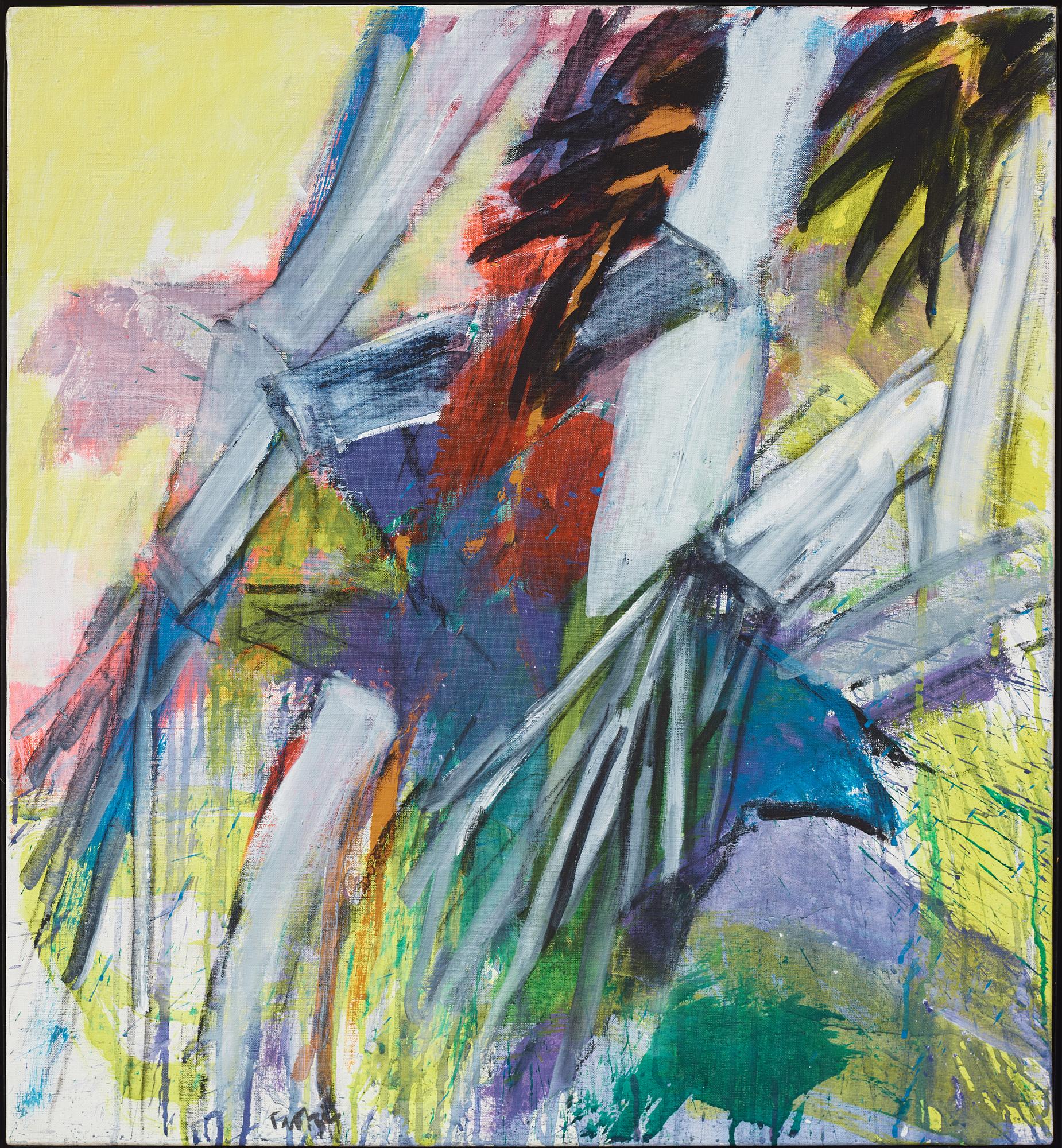 Ulf Trotzig, Fåglar.