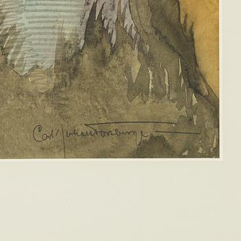 Carl Johan Forsberg, "vänne sommarfåglar".