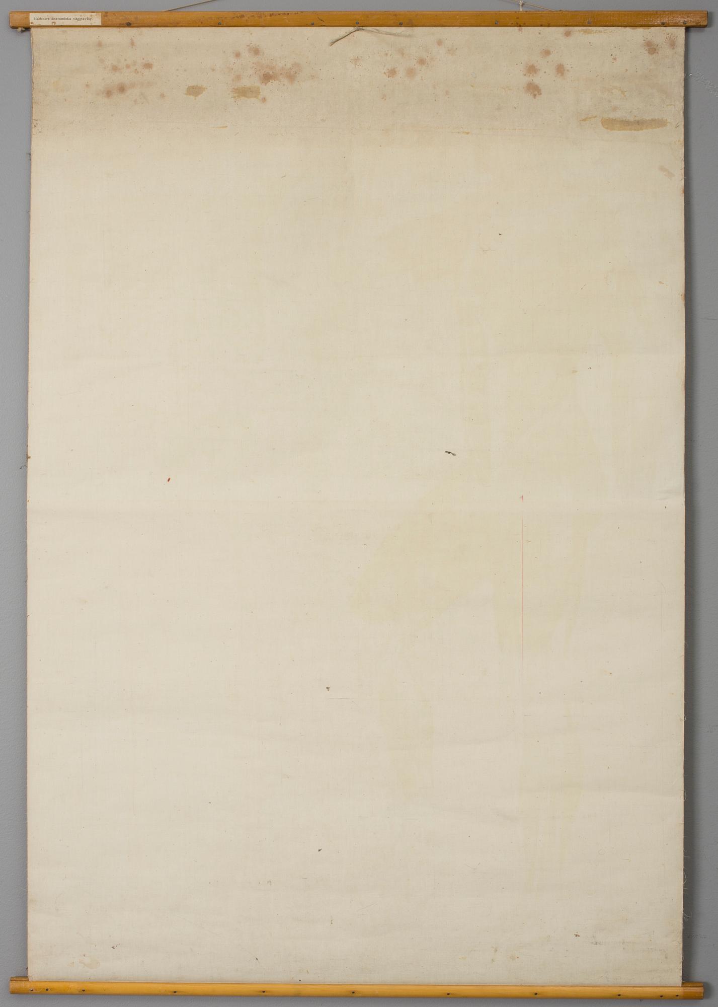 PLANSCH, 1900-talets första hälft.