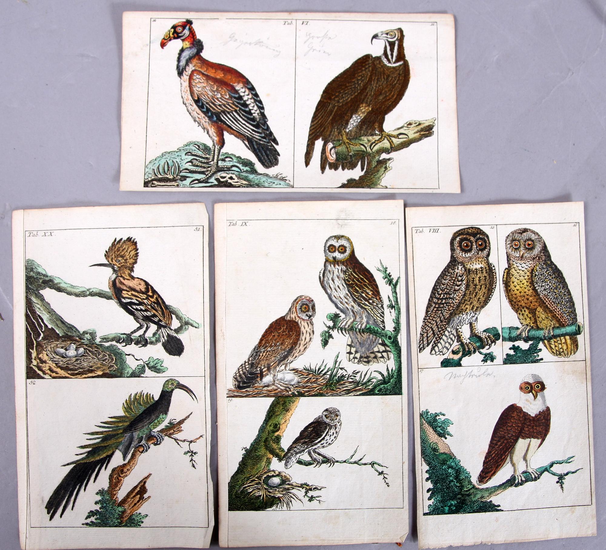 KOPPARSTICK, 4 st, ur Gottlieb Tobias Wilhelm's "Unterhaltungen aus der Naturgeschichte" 1795-c:a 1800.