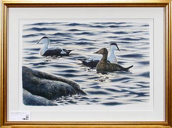 LITOGRAFIER, 2 st, bla Bengt Fransson, sign, numr 226/250 resp HC.