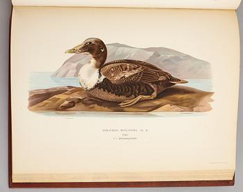 A set of three books about Swedish birds by von Wright. 1927.