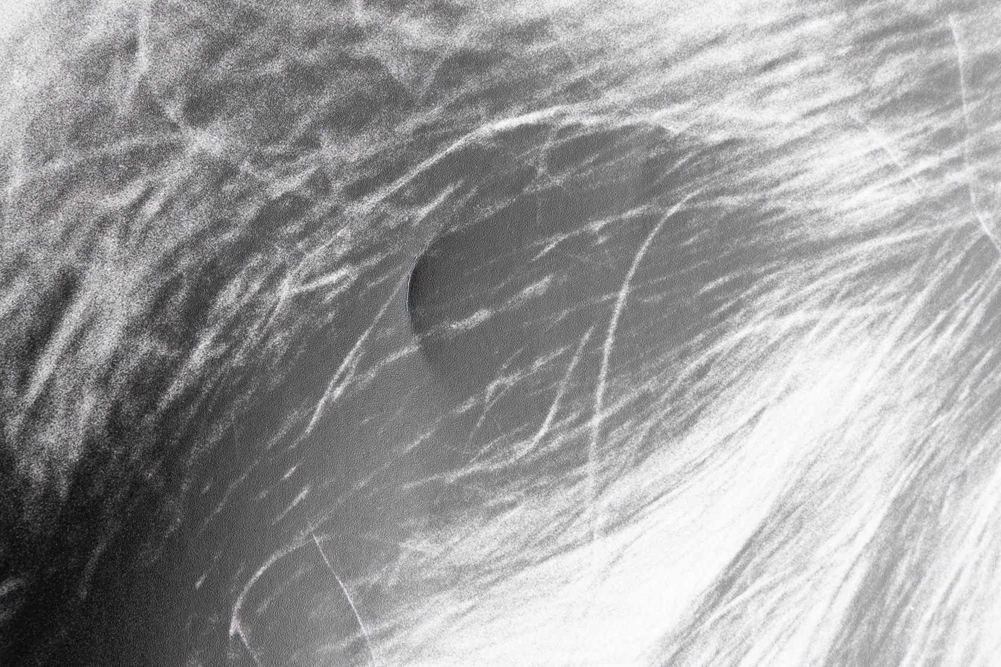 Ewa Rudling, "Patti Smith".