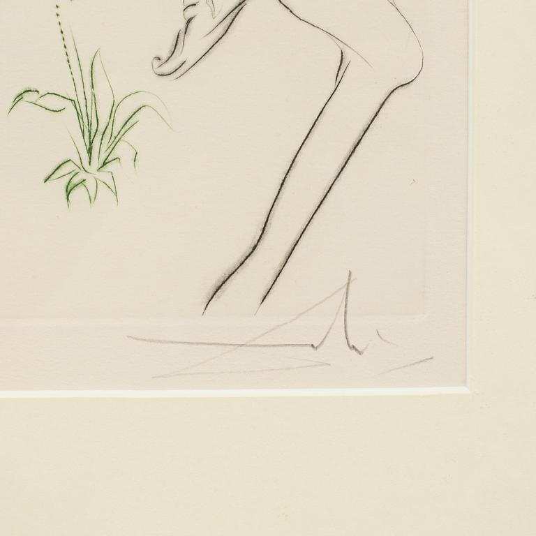 an etching, signed and numbered 2/249.