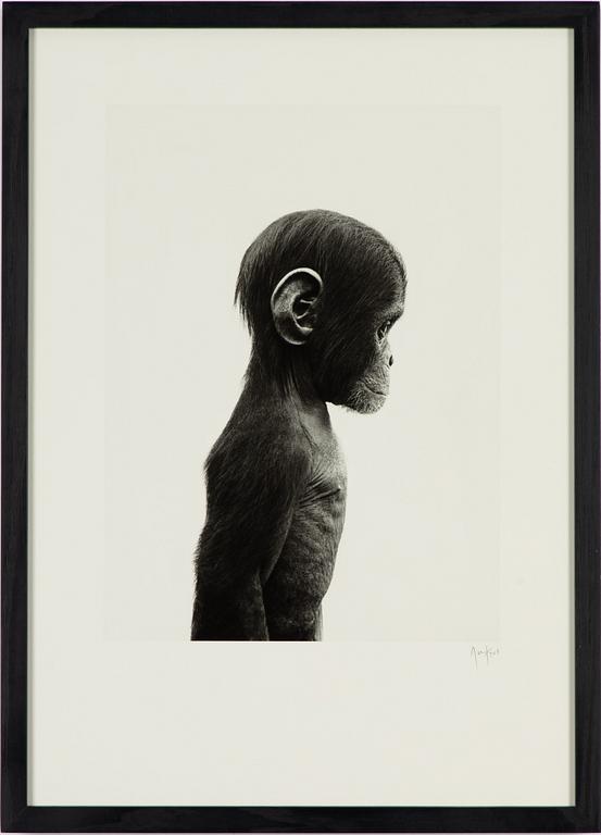 Ulf Rollof, pigment print, signerad och daterad 2013. Ed 003/100.