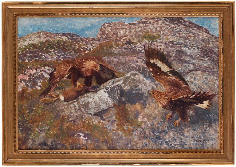 Bruno Liljefors, Golden eagles attacking a hare.