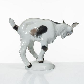 Joao Da Silva, a porcelain figurine, Rosenthal, Germany.