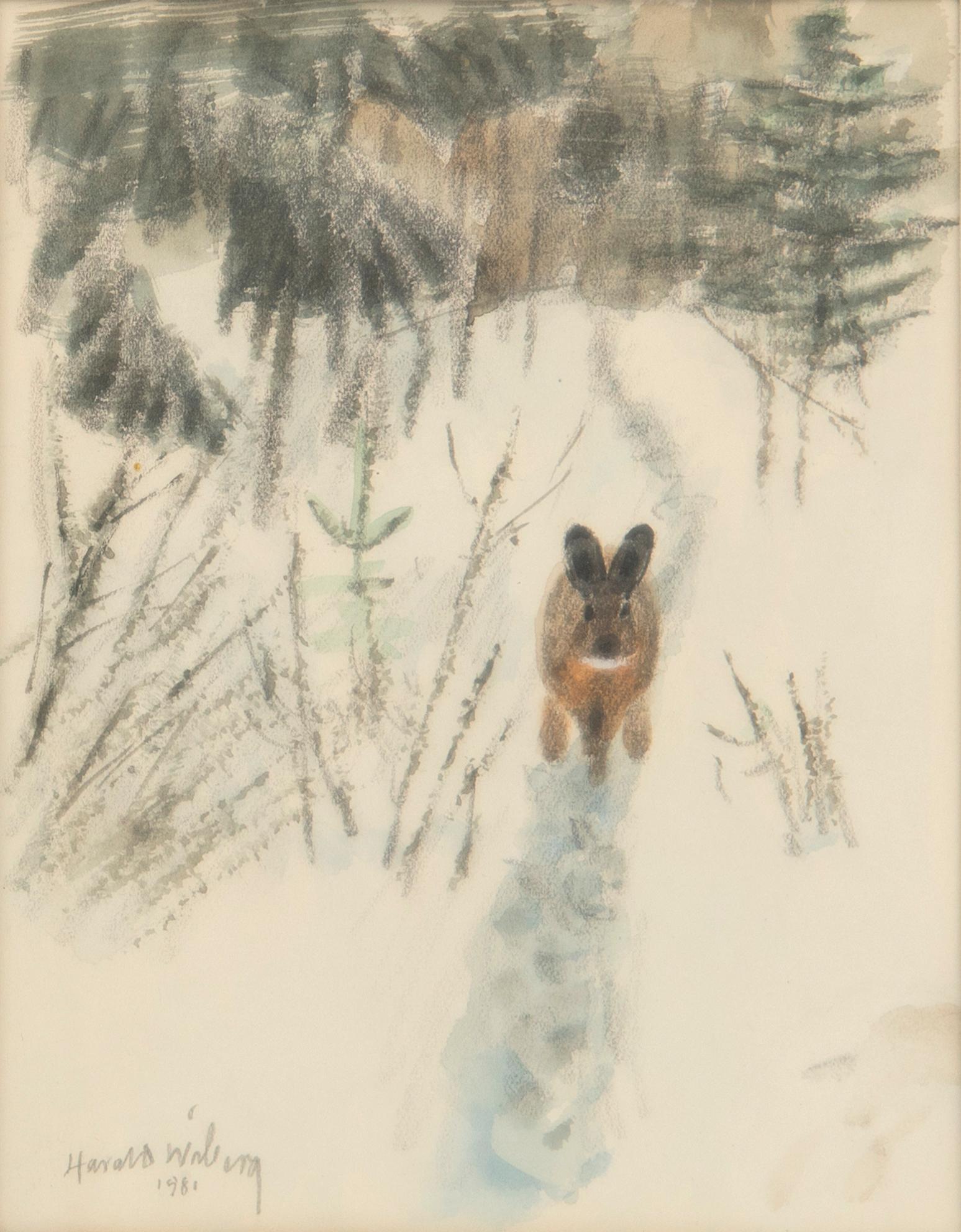 Harald Wiberg, Hare.