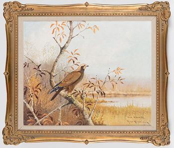 Ejnar Kohlmann, Ruskea haukka.