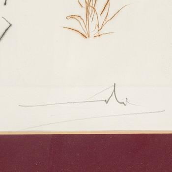 SALVADOR DALÍ, etching, signed and numbered 1/100.