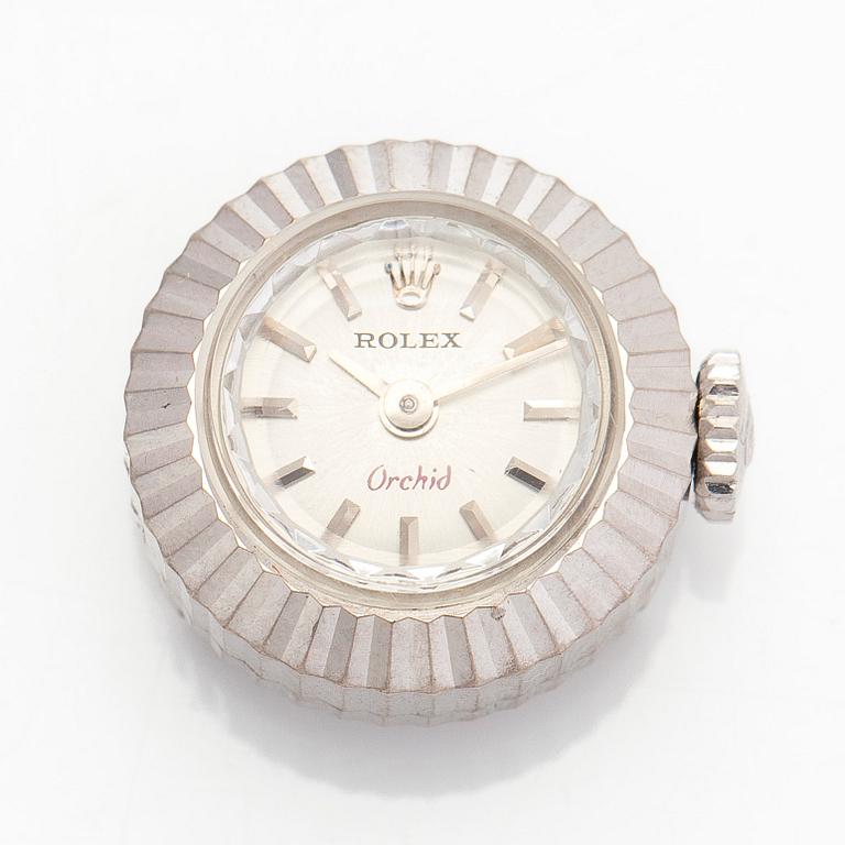 Rolex, Orchid, Chameleon, wristwatch, 16 mm.