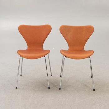 Arne Jacobsen, chairs, 6 pcs, "Sjuan", for Fritz Hansen, Denmark.