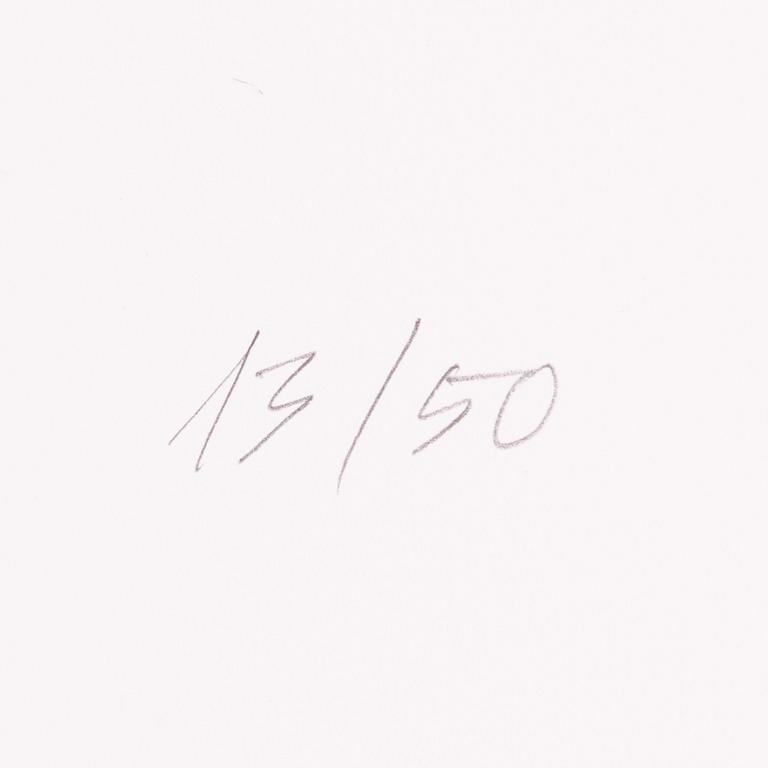 Raul Meel, "Windows and Landscape 2".