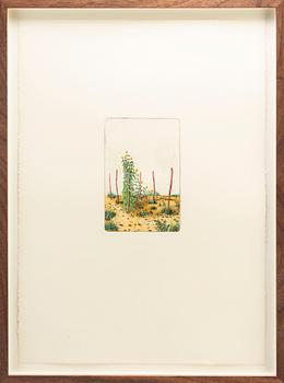 STEN EKLUND, hand colored etching, signed.