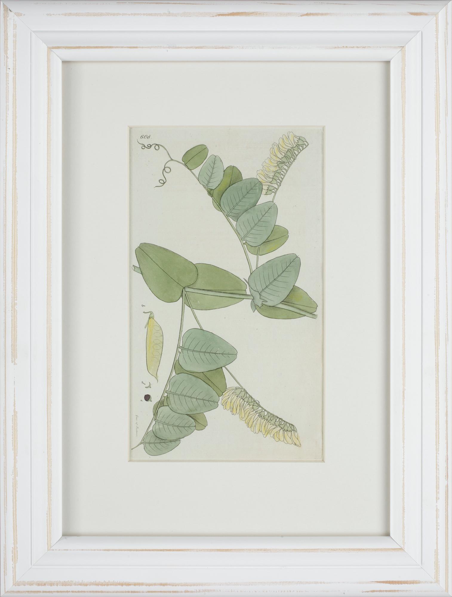 JOHAN WILHELM PALMSTRUCH, 6 st, handkolorerade kopparstick, 1800-talets första hälft.