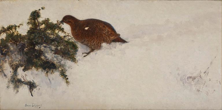 Bruno Liljefors, Capercaillie in winter landscape.