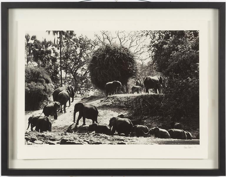 Håkan Ludwigson, "Zambesi" 1998.