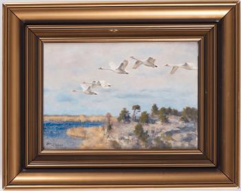 Bruno Liljefors, Swans in flight.