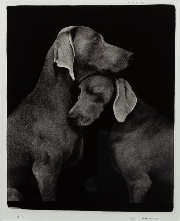 William Wegman, "Friends".