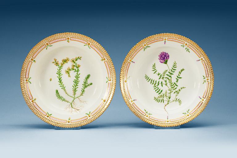 SOPPTALLRIKAR, 12 stycken, porslin. "Flora Danica", Kunglig Dansk, 1900-tal.