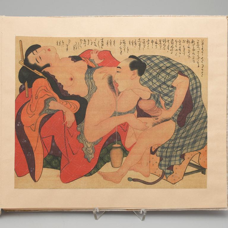 SIDENMÅLNINGAR, 8 st, Japan, 1900-tal.