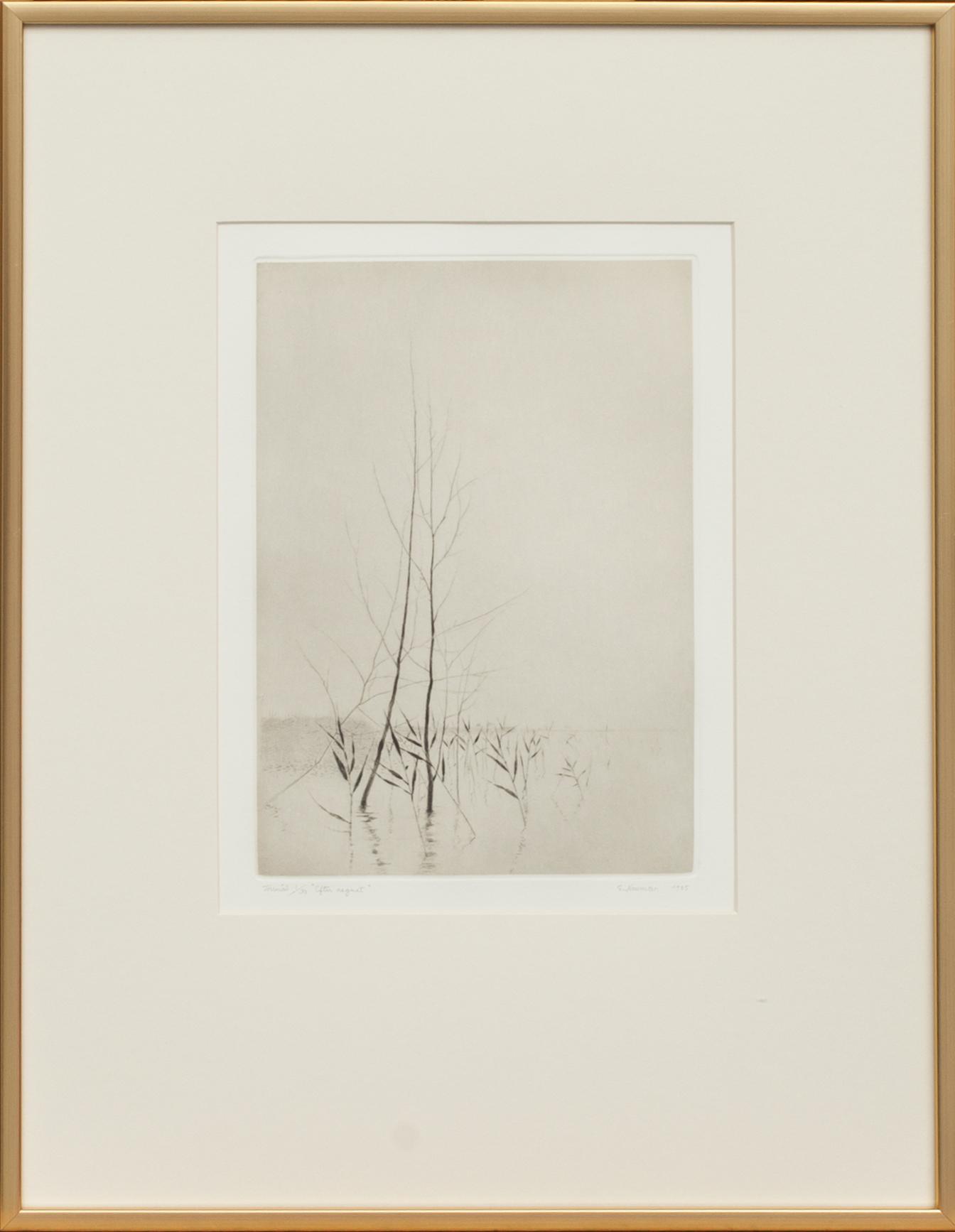 GUNNAR NORRMAN, torrnål.Numrerad 1/30 och signerad.