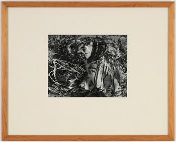 Dawid, photograph signed and dated verso, signed.