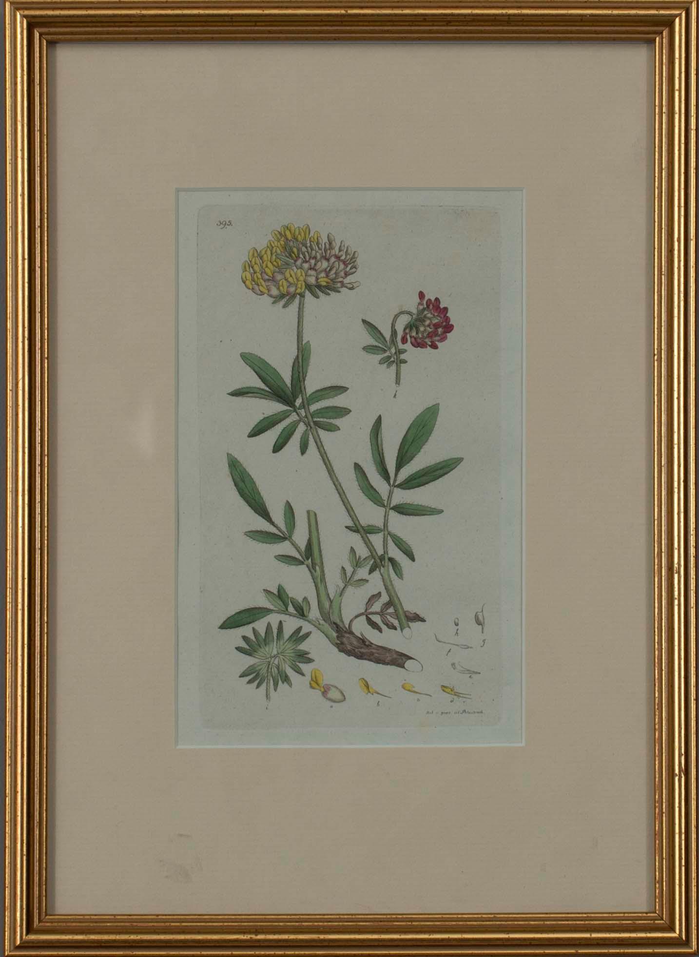 JOHAN WILHELM PALMSTRUCH, 4 st, handkolorerade kopparstick, 1800-talets början.