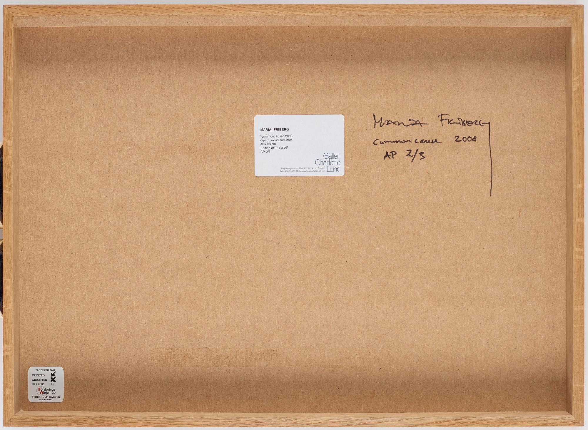 Maria Friberg, "Commoncause", 2008.