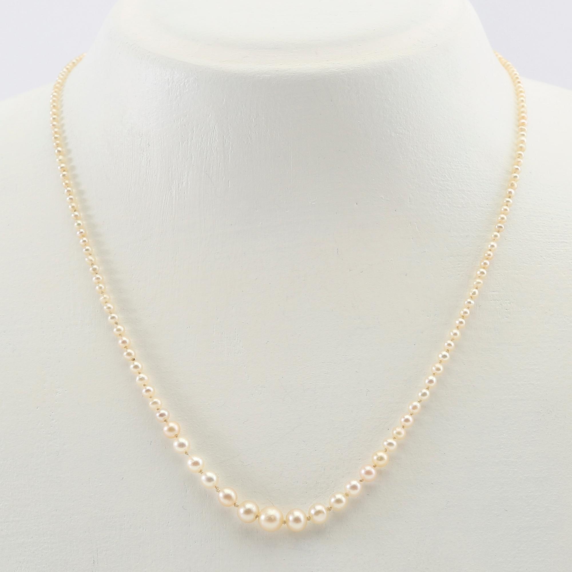 Necklace of cultured pearls with a clasp of gold set with diamonds.
