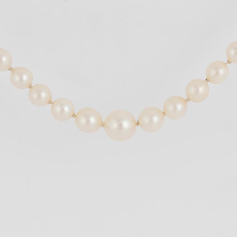 Necklace with cultured saltwater pearls,
graduated.