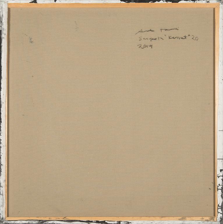 Anne Tompuri, Ur serien "Kasvot".