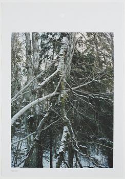 ANDREAS ERIKSSON, portfolio. Signed AE inside the box and numbered 18/250.