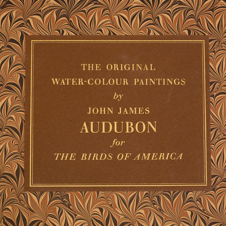 A BOOK, Audubons klassiska fågelbilder, James Audubon.