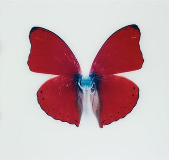 115. Nathalia Edenmont, "Kirin", 2005-2007.