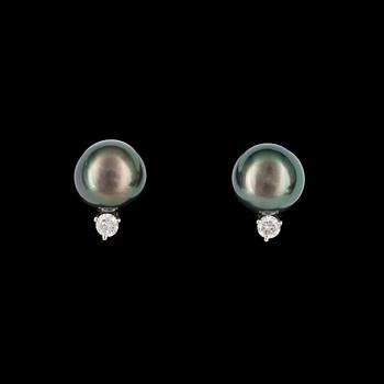 70. EARRINGS, cultured Tahiti pearls, 9,5 mm, with brilliant cut diamond.