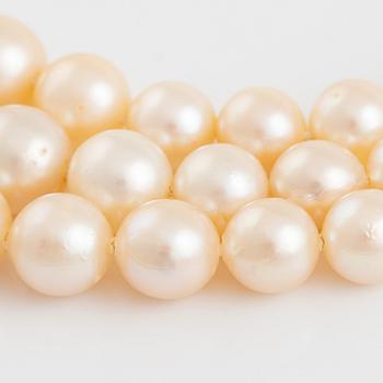 A three strand cultured pearl necklace/bracelet.