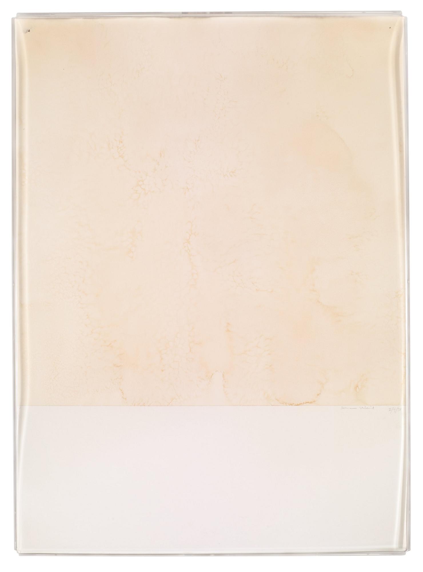 Susan Weil, "Tidal Schah".