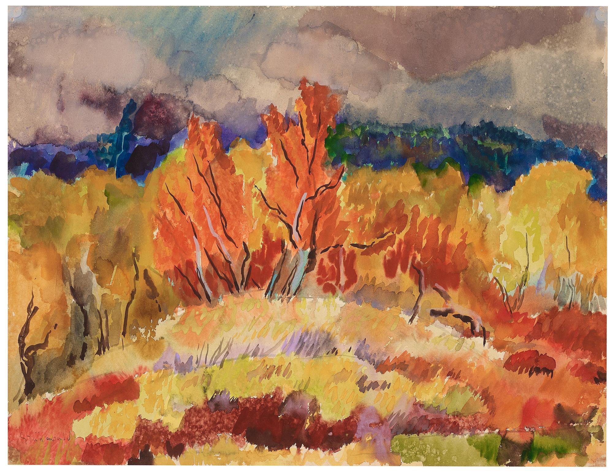 Isaac Grünewald, Sund and autumn rain - Abisko.