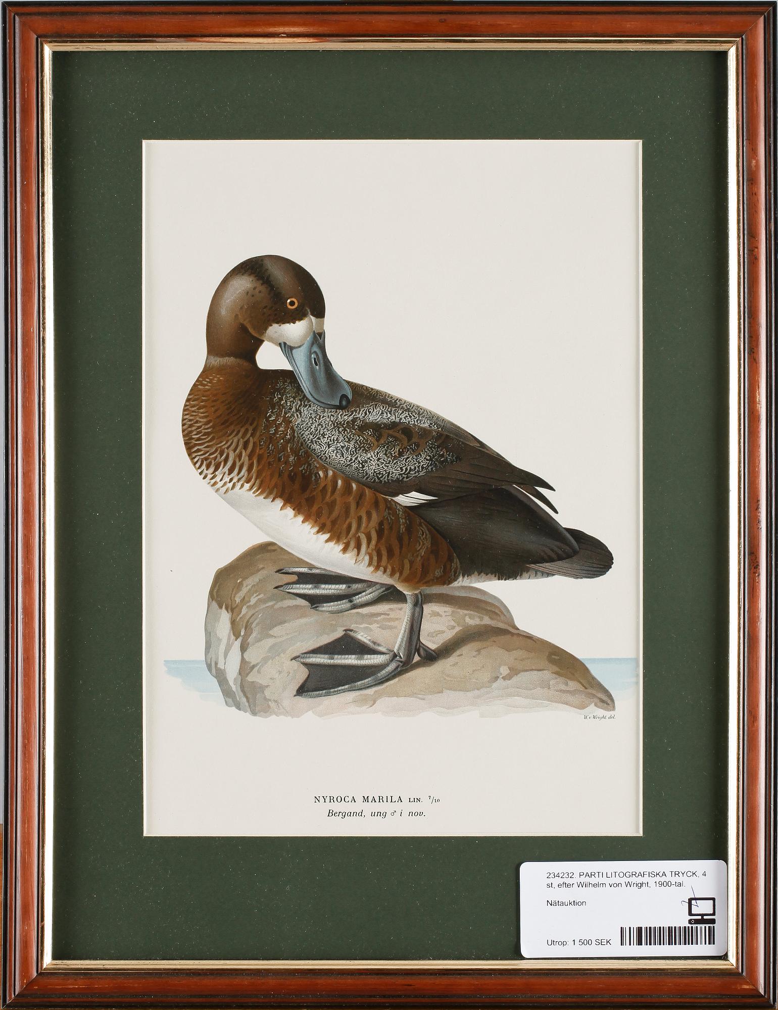 PARTI LITOGRAFISKA TRYCK, 4 st, efter Wilhelm von Wright, 1900-tal.