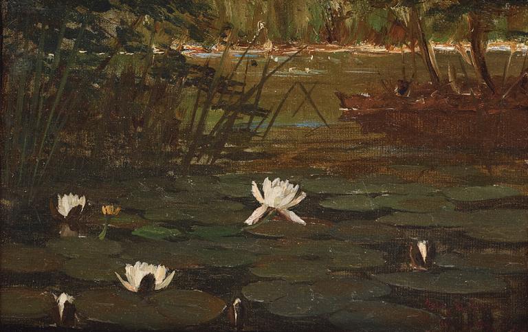Wilhelm Dahlbom, Water lilies.