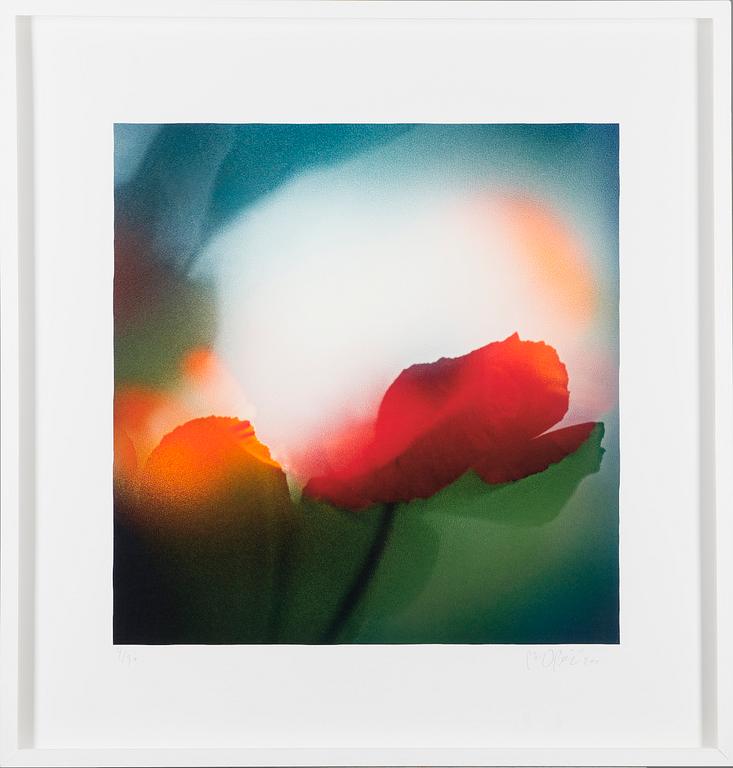 MARJA PIRILÄ, pigment print on Hahnemüle paper, signed, numbered 4/30 and dated 2010.