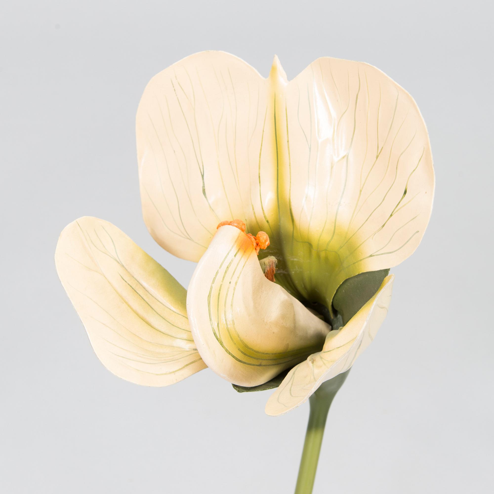 Robert Brendel & Carl Leopold Lohmeyer, A set of 4 educational materials / sculptures, "Botanic Flowers" by R. Bredel. Poland, turn of the 20th century.
