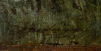 River landscape.