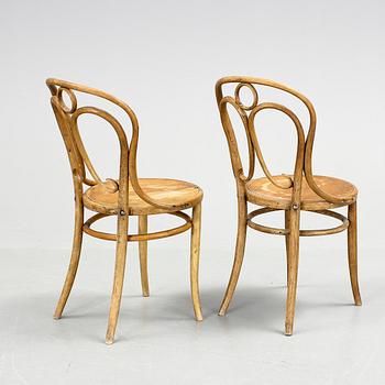 STOLAR, ett par. Jacob och Josef Kohn, 1900-talets början.