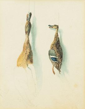 Unknown artist, likely Germany, watercolours, 2 pcs, game studies, 19th century.
