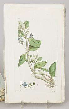 FLORA, 12 häften, "Svensk Botanik" av bla Johan Wilhelm Palmstruch, Stockholm 1802-15.