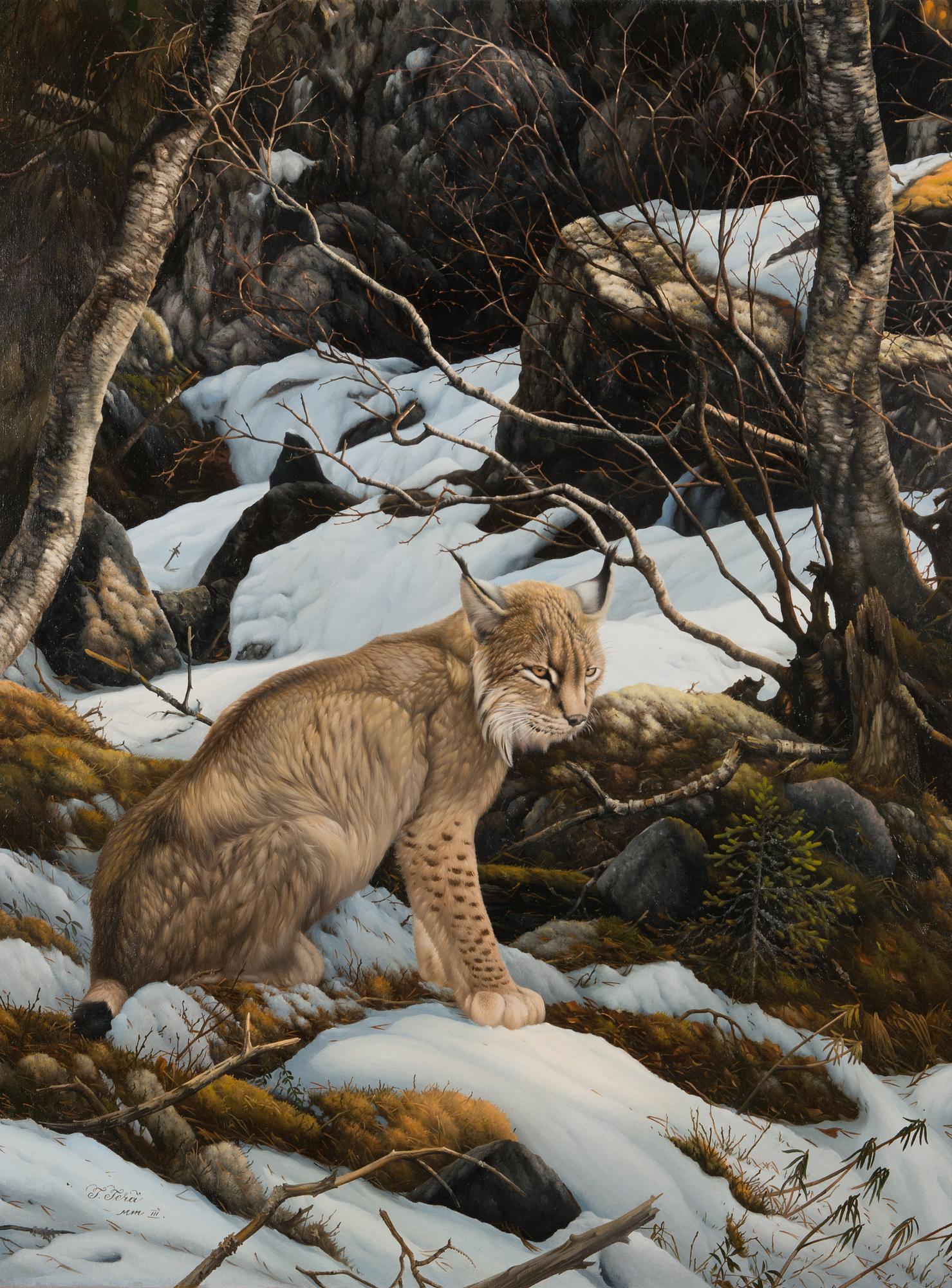 Teppo Terä, Ilves talvimaisemassa.