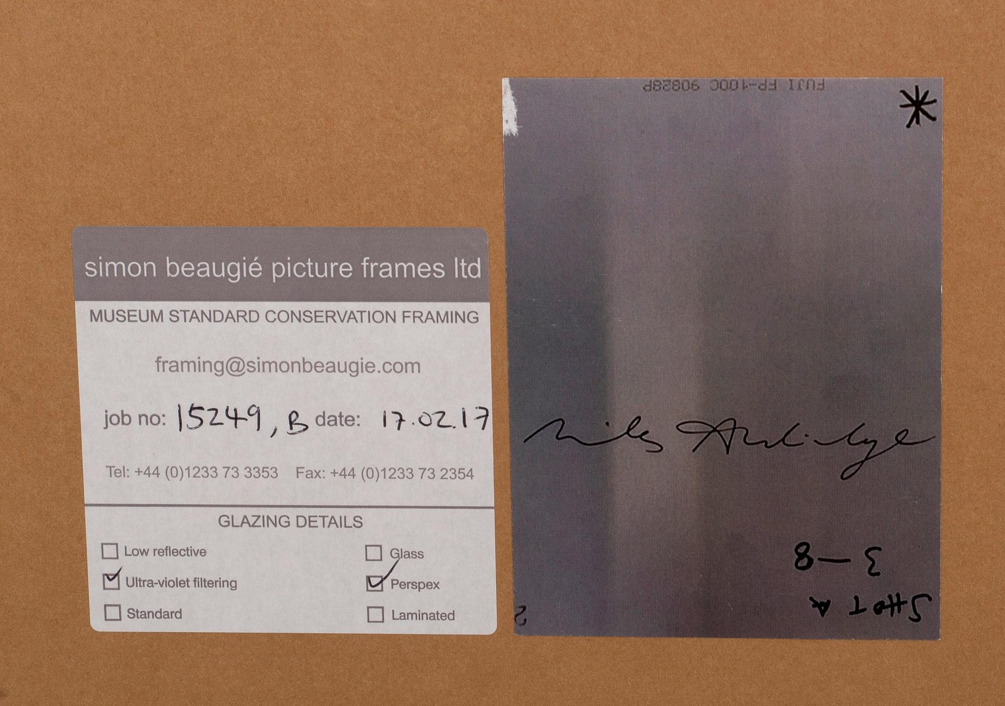 MILES ALDRIDGE, polaroid photograph, unique, signed on the reverse.