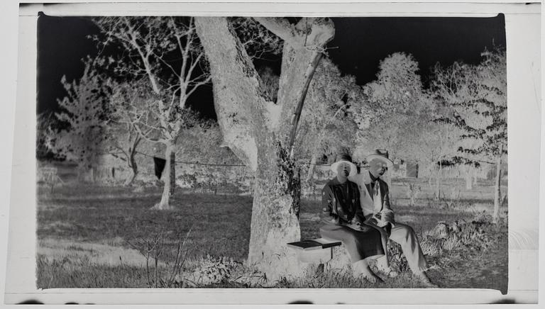 FOTONEGATIV, 8 st, Danmark, troligen 1920-30-tal.